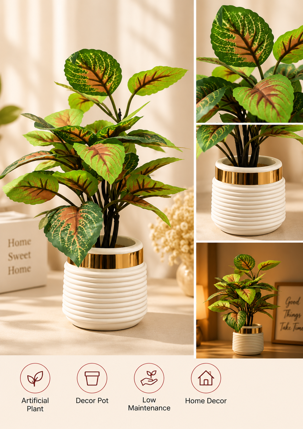 Caladium Plant in Gold-Rim Pot