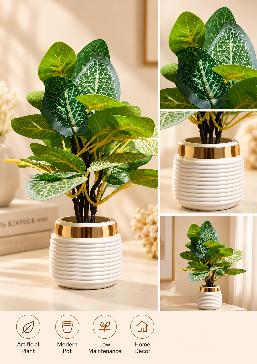 White-Vein Leaf Plant in Gold-Rim Pot