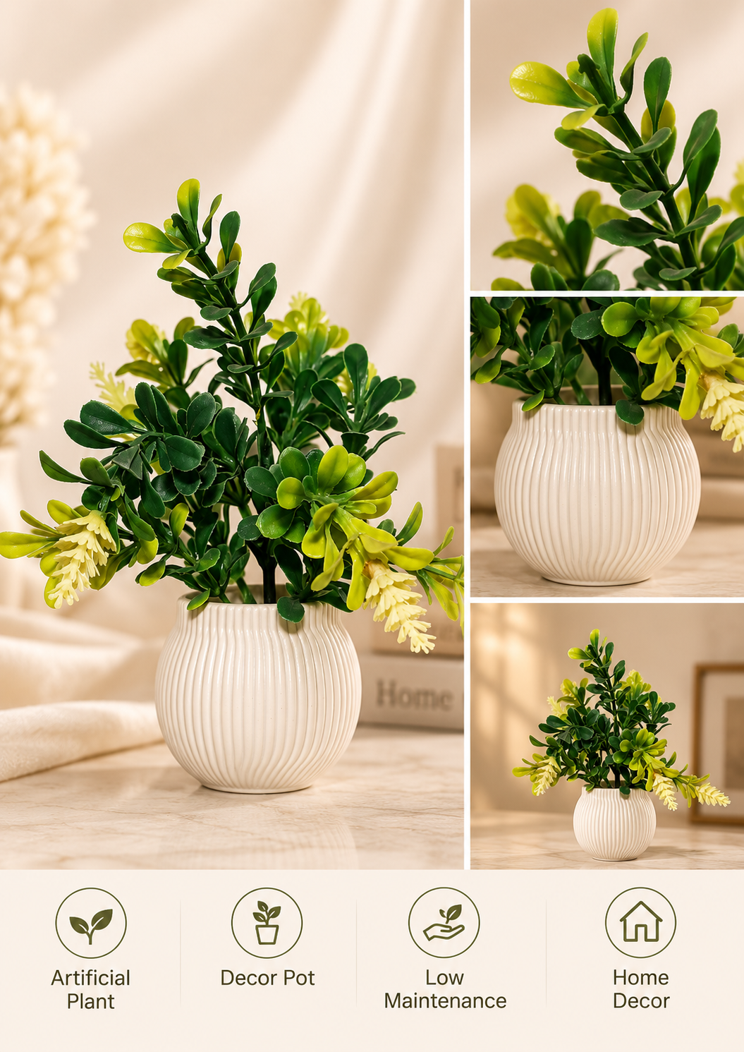 Green Boxwood Plant in Ribbed Pot