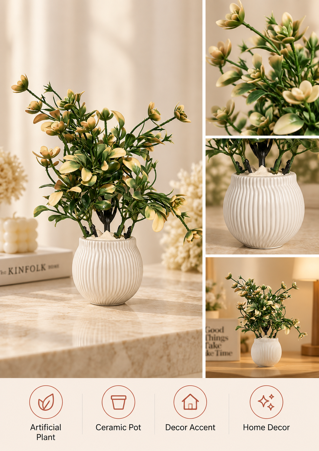 Variegated Leaf Plant in Ceramic Pot
