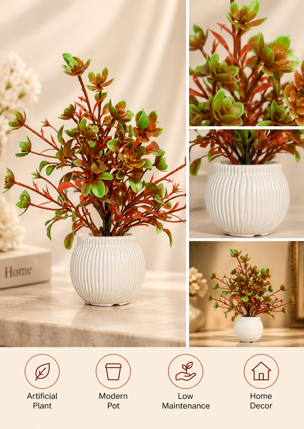 Autumn Succulent Plant in Ceramic Pot